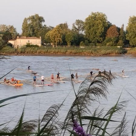 L'Atelier Saint-Sulpice Entre Bordeaux Et St Emilion Bed & Breakfast Bagian luar foto